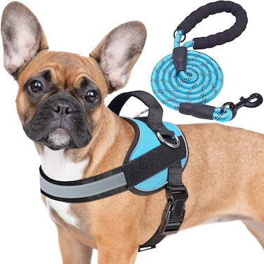 haapaw Haapaw Essential Dog Harness No Pull Pet Vest with 3 Leash Clips No Choke Reflective Adjustable and Padded for Easy Walking and Training for Small DogsS Blue