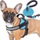 haapaw Haapaw Essential Dog Harness No Pull Pet Vest with 3 Leash Clips No Choke Reflective Adjustable and Padded for Easy Walking and Training for Small DogsS Blue