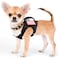 Hanshengday Tactical Service Dog Harness VestK9 Adjustable Military Working Harness WaterResistant Comfortable Training MOLLE Dog Vest with Handle with 2 Patches XS Black