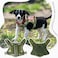 Hanshengday Tactical Service Dog Harness VestK9 Adjustable Military Working Harness WaterResistant Comfortable Training MOLLE Dog Vest with Handle XS Camo