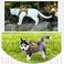 Hanshengday Tactical Service Dog Harness VestK9 Adjustable Military Working Harness WaterResistant Comfortable Training MOLLE Dog Vest with Handle XS Khaki