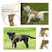Hanshengday Tactical Service Dog Vest Harness for Medium Large Dog Military K9 Training Dog Vest with Molle and Loop Panels Adjustable Tactical Puppy Harnesses with Handle S Khaki