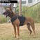 ICEFANG GN3 Tactical Dog Harness with 6X BuckleDog Molle Vest with Handle34 Body CoverageHook and Loop Panel for ID PatchNo Pulling Front Clip L 2835 Girth Black
