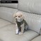 ICEFANG GN3 Tactical Dog Harness with 6X BuckleDog Molle Vest with Handle34 Body Hook and Loop Panel for ID PatchNo Pulling Front Clip XS Neck 1217 Chest 1723 Coyote Brown