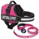 Industrial Puppy Emotional Support Vest Harness Durable and Adjustable Dog Vest with Reflective Straps Removable Patches Handle Leash Attachment Travel and Daily Use Large 2733 Pink