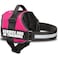 Industrial Puppy Service Dog in Training Vest Harness Durable Adjustable Dog Vest with Reflective Straps Removable Patches Handle DRing Travel and Daily Use Medium 2532 Hot Pink