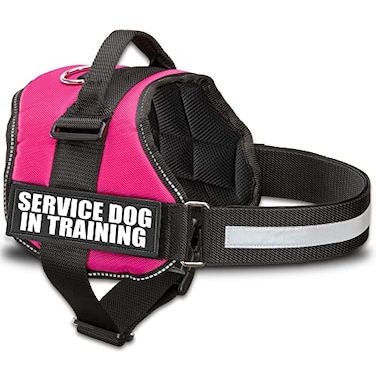 Industrial Puppy Service Dog in Training Vest Harness Durable Adjustable Dog Vest with Reflective Straps Removable Patches Handle DRing Travel and Daily Use Medium 2532 Hot Pink