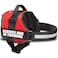 Industrial Puppy Service Dog in Training Vest Harness Durable Adjustable Dog Vest with Reflective Straps Removable Patches Handle DRing Travel and Daily Use XLarge 3039 Bright Red