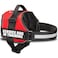 Industrial Puppy Service Dog in Training Vest Harness Durable Adjustable Dog Vest with Reflective Straps Removable Patches Handle DRing Travel and Daily Use XLarge 3039 Bright Red