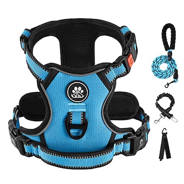 IVY&LANE IVYLANE No Pull Dog Harness for Small Dogs Dog Vest Harness with Leash Safety Belt and Storage Strap Fully Adjustable Harness 360 Reflective Strip Soft Handle Blue S