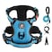 IVY&LANE IVYLANE No Pull Dog Harness for Small Dogs Dog Vest Harness with Leash Safety Belt and Storage Strap Fully Adjustable Harness 360 Reflective Strip Soft Handle Blue S