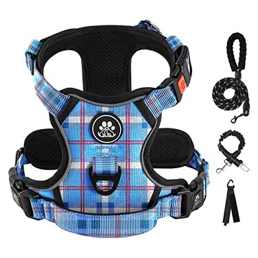 IVY&LANE IVYLANE No Pull Dog Harness with Leash Set Reflective No Choke Pet VestAdjustable Oxford Dog Vest Harness with Easy Control Handle for Small Dogs Checkered BlueS