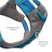Kurgo Journey Air Dog Harness Secure Fit for Active Dogs Padded Chest Lightweight Ripstop Fabric Breathable Mesh Reflective Trim Back Assist Handle Orange XLarge