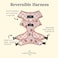 Lucy & Lucy Co Reversible Dog Harness WaterRepellent Neoprene DualPrint Design Easy Swap Style Adjustable Comfort Fit Iced Coffee SZN Reversible Harness Large