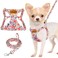 Lukovee No Pull Puppy Harness and Leash Set Adjustable Lightweight Soft Suede Pet Harness Vest with Snap Buckle 51in Leash for Small Medium Dogs FlowerXXS