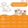 Lukovee No Pull Puppy Harness and Leash Set Adjustable Lightweight Soft Suede Pet Harness Vest with Snap Buckle 51in Leash for Small Medium Dogs FlowerXXS