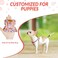 Lukovee No Pull Puppy Harness and Leash Set Adjustable Lightweight Soft Suede Pet Harness Vest with Snap Buckle 51in Leash for Small Medium Dogs FlowerXXS