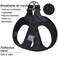 matilor Matilor Dog Harness Stepin Breathable Puppy Cat Dog Vest Harnesses for Small Medium Dogs
