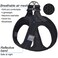 matilor Matilor Dog Harness Stepin Breathable Puppy Cat Dog Vest Harnesses for Small Medium Dogs