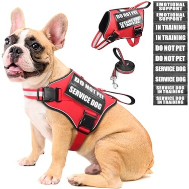 MOOGROU Service Dog Vest Harness and Leash Set10 PatchesNo PullAdjustable Reflective Dog Harness with Soft Padded Handle for TrainingEverydayFit SmallMediumLargeExtraLarge DogsRed M