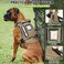 MOOGROU Tactical Dog Harness and Leash Set for Large DogsHeavy Duty No Pull Service Dog Vest and 10 Patches with Dog Seat BeltReflective Adjustable Pet Harness for Training Walking Hiking Camo L