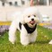Mr. Peanut's Mr Peanuts PupTrek Small DogCat Soft Mesh Step in Harness Vest Extra Large Camo