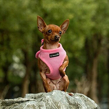 Mr. Peanut's Mr Peanuts PupTrek Small DogCat Soft Mesh Step in Harness Vest Large Pink