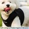 Mr. Peanut's Mr Peanuts PupTrek Small DogCat Soft Mesh Step in Harness Vest Medium Black