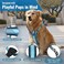 JAX PLANET No Pull Dog Harness with Handle Grip Control Training Harness for Medium Dogs Front DRing Reflective Secure Adjustable Fit with Metal Buckles for Walking and Running Orange Medium