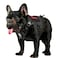 ONETIGRIS OneTigris Tactical Dog Harness Vest with Handle Dog Harness for Large Medium DogsNoPull Service Dog Vest with Hook Loop PanelsAdjustable Dog Vest Harness for WalkingBlackSmall