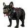 ONETIGRIS OneTigris Tactical Dog Harness Vest with Handle Dog Harness for Large Medium DogsNoPull Service Dog Vest with Hook Loop PanelsAdjustable Dog Vest Harness for WalkingBlackSmall