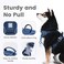 Pawaii No Pull Dog Harness with Pet ID TagReflective Strips No Choke Front O Ring Breathable Mesh Adjustable Soft Padded Pet Vest with Easy Control Handle for Medium Dogs