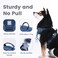 Pawaii No Pull Dog Harness with Pet ID TagReflective Strips No Choke Front O Ring Breathable Mesh Adjustable Soft Padded Pet Vest with Easy Control Handle for Medium Dogs