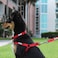 Pawtitas Solid Stepin Dog Harness Adjustable NoPull Vest for Puppies to Seniors Safe Comfortable L Marsala