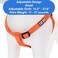 Pawtitas Solid Stepin Dog Harness Adjustable NoPull Vest for Puppies to Seniors Safe Comfortable S Orange