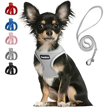 PetiFine Step in Small Dog Harness and Leash Set Breathable All Weather Air Mesh Reflective Escape Proof Stepin Vest Harnesses for PuppyXS Grey