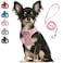 PetiFine Step in Small Dog Harness and Leash Set Breathable All Weather Air Mesh Reflective Escape Proof Stepin Vest Harnesses for PuppyXS Pink