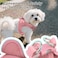 PetiFine Step in Small Dog Harness and Leash Set Breathable All Weather Air Mesh Reflective Escape Proof Stepin Vest Harnesses for PuppyXS Pink