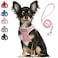 PetiFine Step in Small Dog Harness and Leash Set Breathable All Weather Air Mesh Reflective Escape Proof Stepin Vest Harnesses for PuppyXS Pink