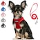 PetiFine Step in Small Dog Harness and Leash Set Breathable All Weather Air Mesh Reflective Escape Proof Stepin Vest Harnesses for PuppyXS Red