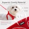 PetiFine Step in Small Dog Harness and Leash Set Breathable All Weather Air Mesh Reflective Escape Proof Stepin Vest Harnesses for PuppyXS Red