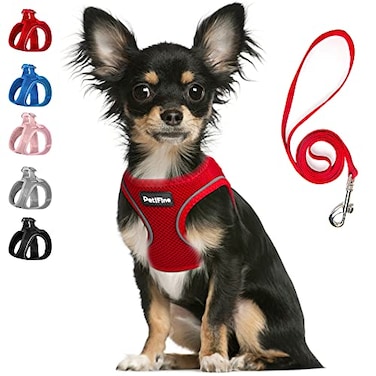 PetiFine Step in Small Dog Harness and Leash Set Breathable All Weather Air Mesh Reflective Escape Proof Stepin Vest Harnesses for PuppyXS Red