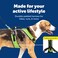 PetSafe EasySport Dog Harness Adjustable Padded Dog Harness with Control Handle and Reflective Piping Large Apple Green