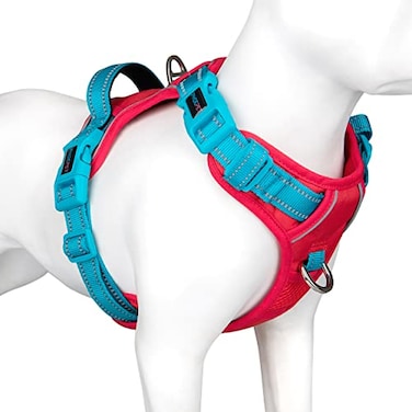 PHOEPET No Pull Dog Harness Unique Colors Reflective Adjustable Dog Vest with Soft Training Handle Metal Clips for Small Medium Large Dogs Red Base Teal StrapsM