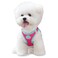 PHOEPET Stepin Dog HarnessReflective Adjustable Dog Vest Harness Soft Pet Walking Jacket with 2 Metal Leash Hooks for Dog and CatPink Base Green StrapsM
