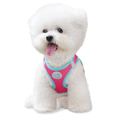 PHOEPET Stepin Dog HarnessReflective Adjustable Dog Vest Harness Soft Pet Walking Jacket with 2 Metal Leash Hooks for Dog and CatPink Base Green StrapsM