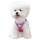 PHOEPET Stepin Dog HarnessReflective Adjustable Dog Vest Harness Soft Pet Walking Jacket with 2 Metal Leash Hooks for Dog and CatPink Base Green StrapsM