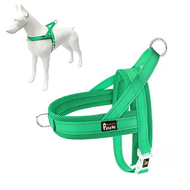 PLUTUS PET Plutus Pet No Pull Dog Harness with Breathable Mesh Padded Adjustable Reflective Escape Proof Dog Harness Quick Fit Dog Vest Harness for Small Medium Large DogsM Green