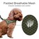 PLUTUS PET Plutus Pet No Pull Dog Harness with Breathable Mesh Padded Adjustable Reflective Escape Proof Dog Harness Quick Fit Dog Vest Harness for Small Medium Large DogsM Ranger Green