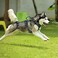 PoyPet No Pull Dog Harness No Choke Front Clip Reflective Dog Vest with Soft Padded Vertical Handle 3 Leash Attachments for Small Medium Large Dogs Tumalo TealXL